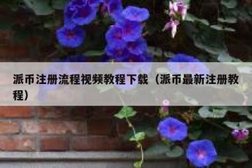 派币注册流程视频教程下载（派币最新注册教程）