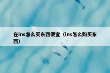 在ins怎么买东西便宜（ins怎么购买东西）