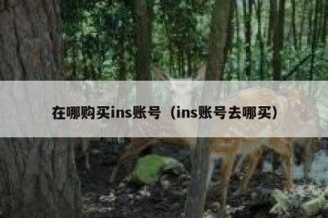 在哪购买ins账号（ins账号去哪买）