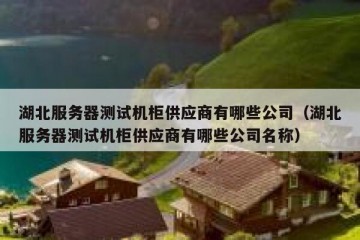 湖北服务器测试机柜供应商有哪些公司（湖北服务器测试机柜供应商有哪些公司名称）