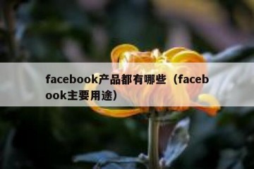facebook产品都有哪些（facebook主要用途）
