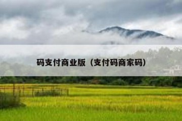 码支付商业版（支付码商家码）