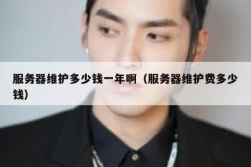 服务器维护多少钱一年啊（服务器维护费多少钱）