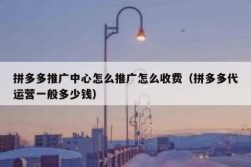 拼多多推广中心怎么推广怎么收费（拼多多代运营一般多少钱）