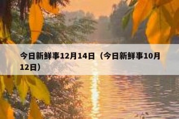 今日新鲜事12月14日（今日新鲜事10月12日）