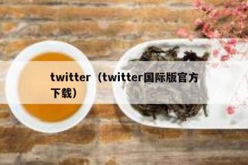 twitter（twitter国际版官方下载）