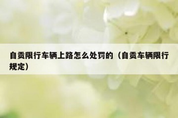 自贡限行车辆上路怎么处罚的（自贡车辆限行规定）