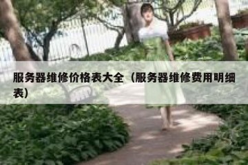 服务器维修价格表大全（服务器维修费用明细表）