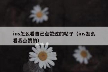 ins怎么看自己点赞过的帖子（ins怎么看我点赞的）