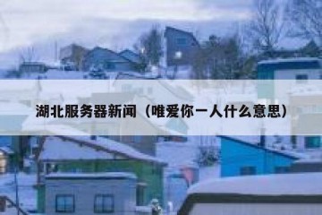 湖北服务器新闻（唯爱你一人什么意思）
