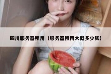 四川服务器租用（服务器租用大概多少钱）