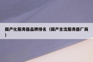 国产化服务器品牌排名（国产主流服务器厂商）