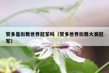 赞多是街舞世界冠军吗（赞多世界街舞大赛冠军）