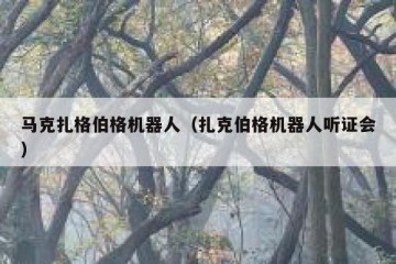 马克扎格伯格机器人（扎克伯格机器人听证会）