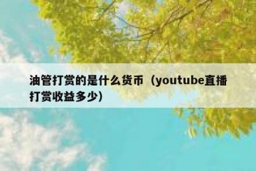 油管打赏的是什么货币（youtube直播打赏收益多少）