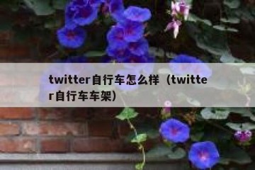 twitter自行车怎么样（twitter自行车车架）