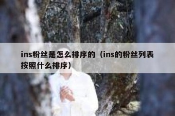 ins粉丝是怎么排序的（ins的粉丝列表按照什么排序）