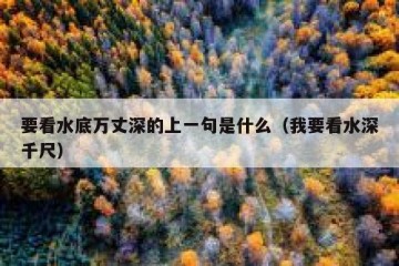 要看水底万丈深的上一句是什么（我要看水深千尺）