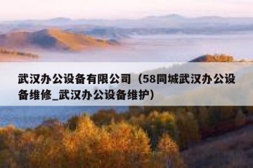 武汉办公设备有限公司（58同城武汉办公设备维修_武汉办公设备维护）