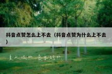 抖音点赞怎么上不去（抖音点赞为什么上不去）