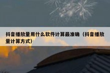 抖音播放量用什么软件计算最准确（抖音播放量计算方式）