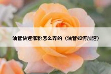 油管快速涨粉怎么弄的（油管如何加速）
