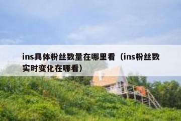 ins具体粉丝数量在哪里看（ins粉丝数实时变化在哪看）