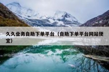 久久业务自助下单平台（自助下单平台网站便宜）