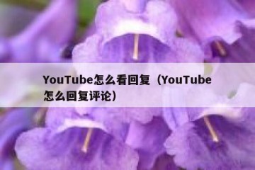 YouTube怎么看回复（YouTube怎么回复评论）