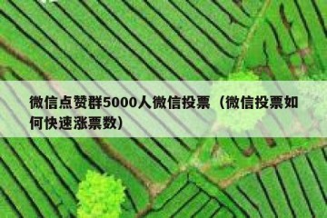 微信点赞群5000人微信投票（微信投票如何快速涨票数）