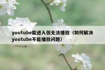 youtube能进入但无法播放（如何解决youtube不能播放问题）