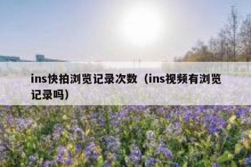 ins快拍浏览记录次数（ins视频有浏览记录吗）