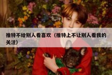 推特不给别人看喜欢（推特上不让别人看我的关注）