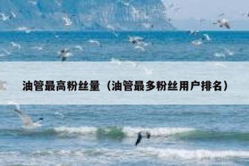 油管最高粉丝量（油管最多粉丝用户排名）