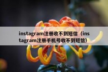 instagram注册收不到短信（instagram注册手机号收不到短信）