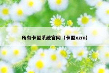 所有卡盟系统官网（卡盟xzm）