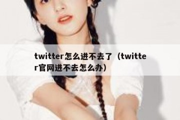 twitter怎么进不去了（twitter官网进不去怎么办）