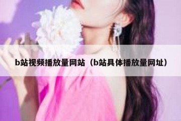 b站视频播放量网站（b站具体播放量网址）