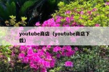 youtube商店（youtube商店下载）