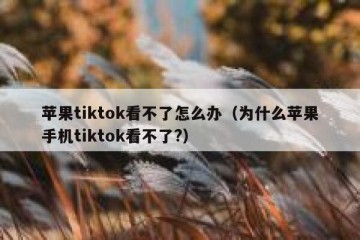 苹果tiktok看不了怎么办（为什么苹果手机tiktok看不了?）