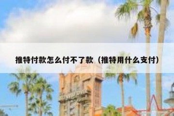 推特付款怎么付不了款（推特用什么支付）