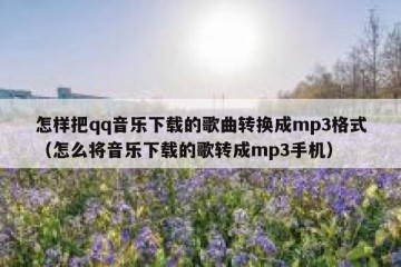 怎样把qq音乐下载的歌曲转换成mp3格式（怎么将音乐下载的歌转成mp3手机）