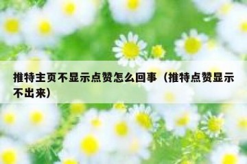 推特主页不显示点赞怎么回事（推特点赞显示不出来）