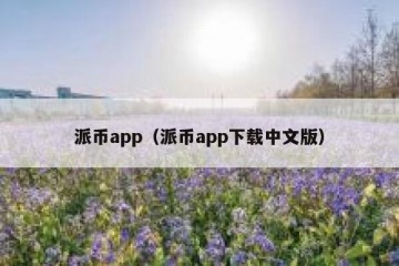 派币app（派币app下载中文版）