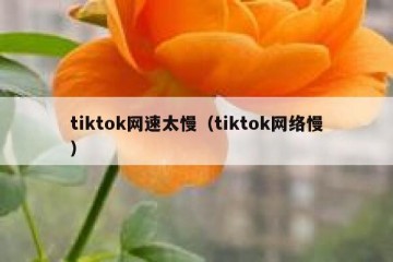 tiktok网速太慢（tiktok网络慢）