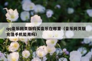 qq音乐网页版购买音乐在哪里（音乐网页版充值手机能用吗）