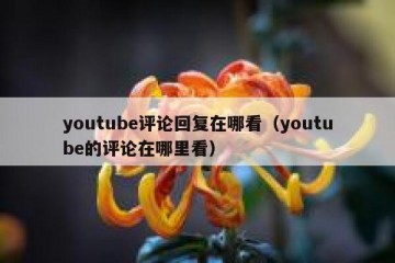 youtube评论回复在哪看（youtube的评论在哪里看）