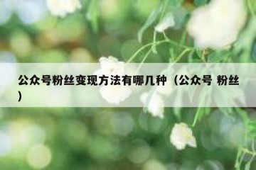 公众号粉丝变现方法有哪几种（公众号 粉丝）