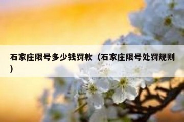 石家庄限号多少钱罚款（石家庄限号处罚规则）