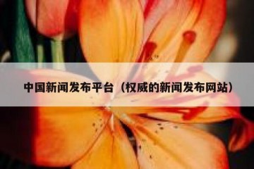 中国新闻发布平台（权威的新闻发布网站）